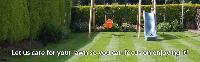 design 360 lawn care